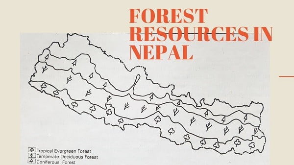 Forest Resources in Nepal